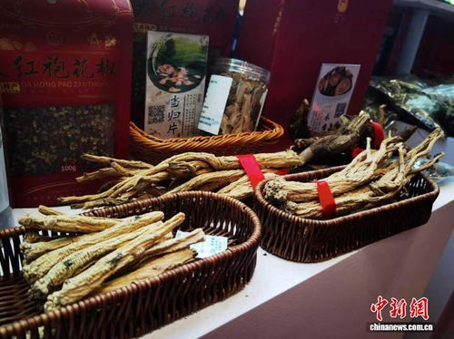 甘肃乡村深闺 甘味农产品与苗鸡物畅其流新篇章